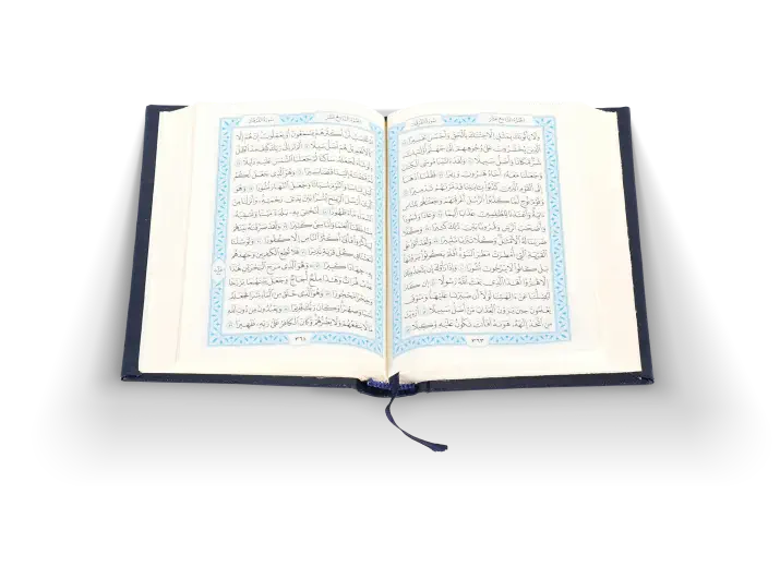 An Iphone showing the SAD app screen